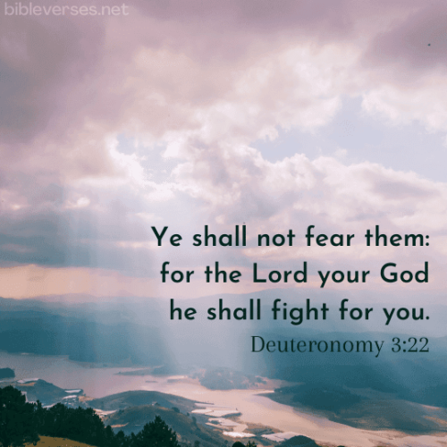 deuteronomy-3-22