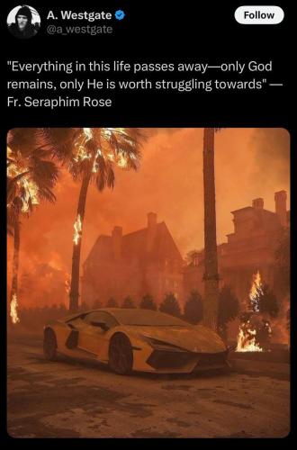 photo_2025-01-12_20-23-32