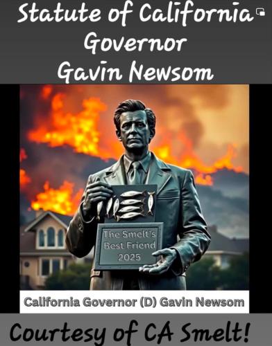 FB_IMG_1736593476082