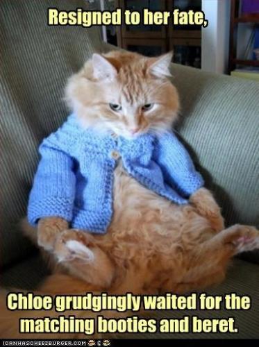 92ad7bffe8437d41f8d07f45095a9431