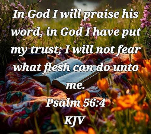 f41869a2-ccc9-4814-b865-7fdb01f8226e