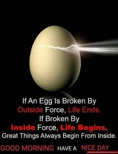 FB_IMG_1570438509262