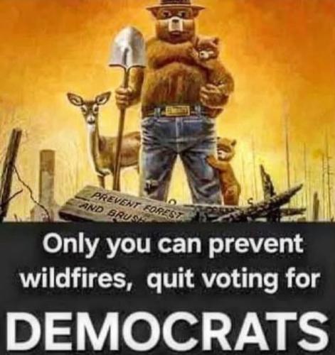 Screenshot_20250111_222004_Instagram