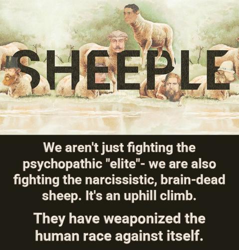 IMG_20250129_171640_424