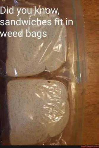 18ff8faa013770f02a4b451a2d16cd22aa35b77ab61629b0fab5516f128a9b83_1