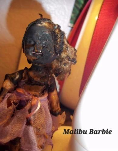 image_B04B2E3C-C4DC-4828-9799-EF35BB9EAD7C