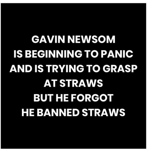 image_2025-01-12_134910721