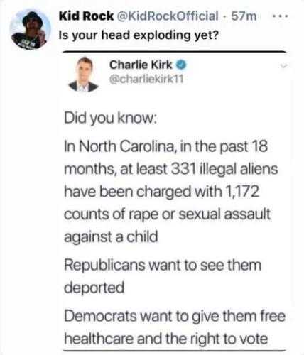 ILLEGAL ALIEN RAPESTS