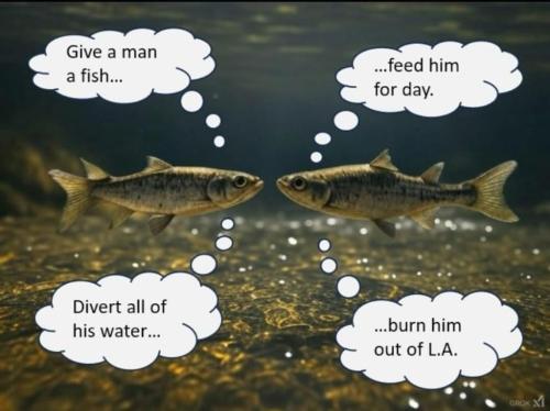 FB8A316F-A593-4509-B034-352D33CFC15E