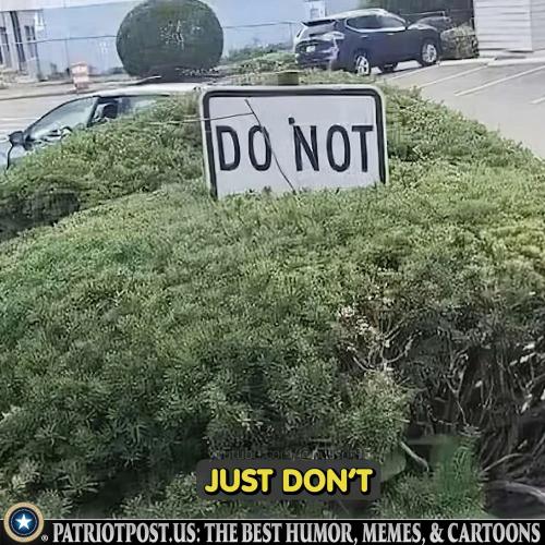 01JJX6YQ5DPJERPRY8MVSB42MS