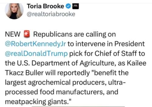 photo_2025-01-24_22-26-19