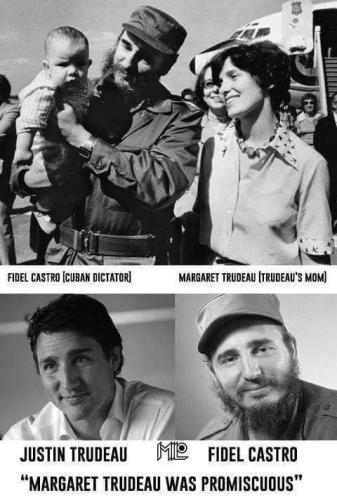 030B3201-93F7-4038-85B7-EB2CA279887D-29551-00000569CE82E90F