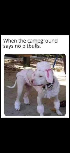 Screenshot_20250124_200109_Photos