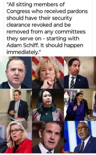 image_2025-01-25_075852434