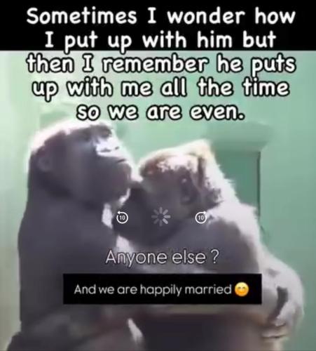 8EF8EB71-9A42-4204-B052-1C6D73053336