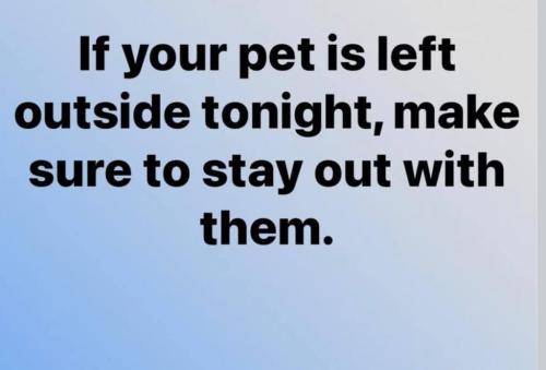 6F5357B8-88A1-4C6F-B9E0-27E897E6FBED