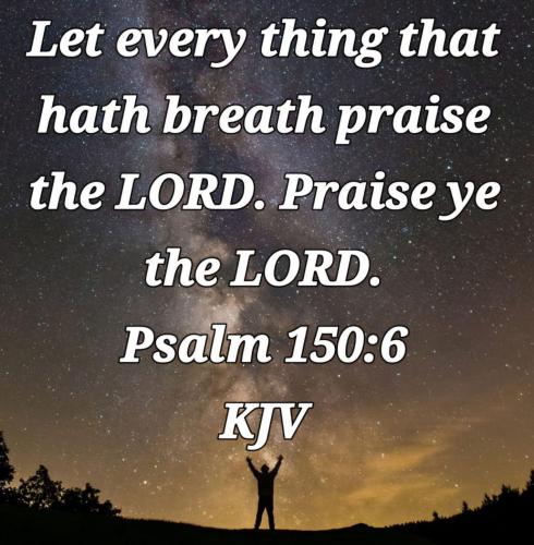 2edcd739-61a1-47f0-9773-001946823bef