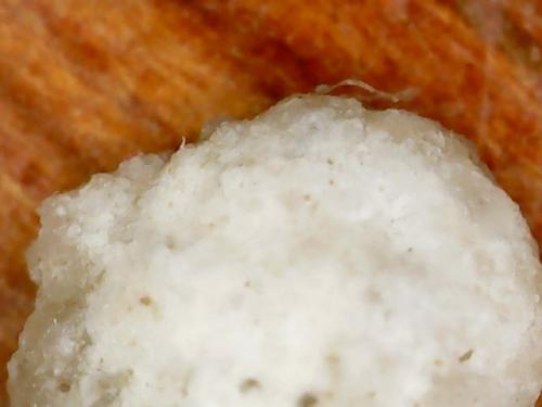 NECK BASE POLYMER NODE (5)