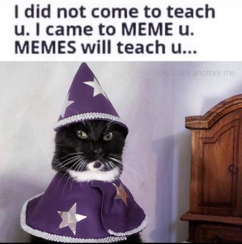 IMG_20250121_065827_384