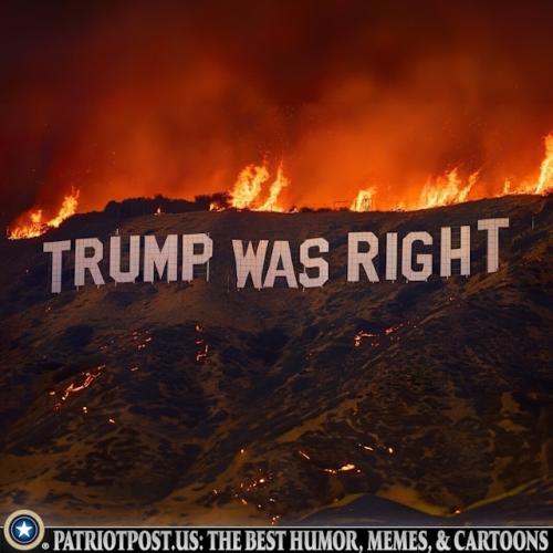 01JJ1YWD19XX7Q5MNX0BNN8JT2