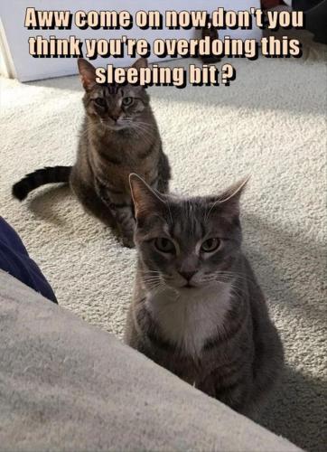 d798e8033ef68a0b57aa77f88ed2c42d