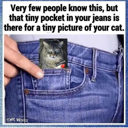 21f99a61c983a8523e7ffa0297236243