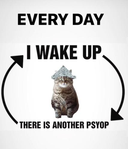 photo_2025-01-02_21-06-36