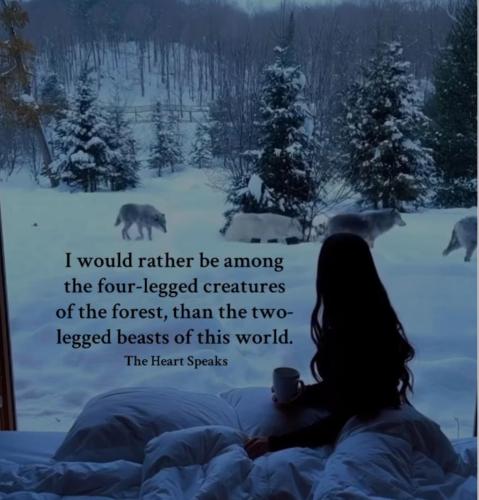 A94CCFBA-D4CB-4F57-A480-E1CABC609210