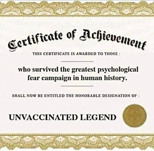 IMG_20250129_152616_761