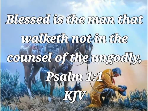 231d92af-1663-4ba5-9590-d4d15da50c8b