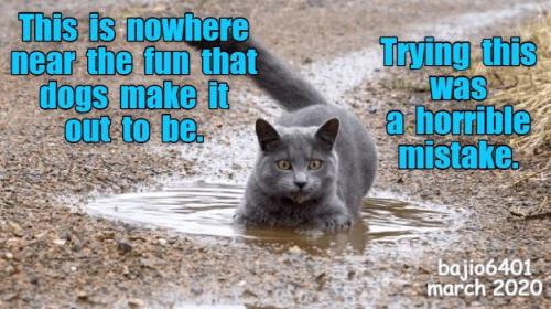 14135a30b1b324a1ce56f6644297fab6