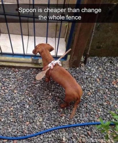 FB_IMG_1738011929282