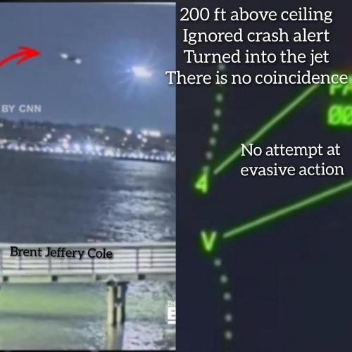 GridArt_20250201_042911674