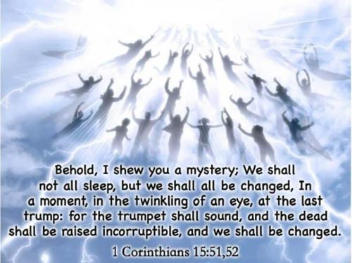 95036f91-6dd5-4624-9336-cbf00642e44b