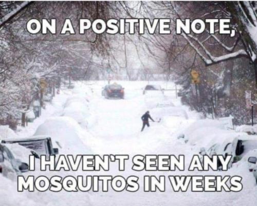 Screenshot_20250102_144205_Gallery