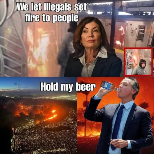 image_2025-01-13_062315254