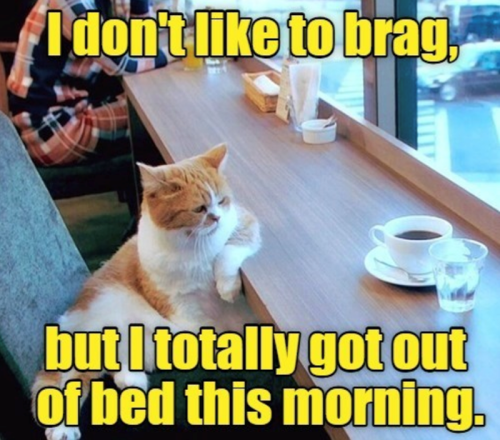 dont-like-brag-but-totally-got-out-bed-this-morning