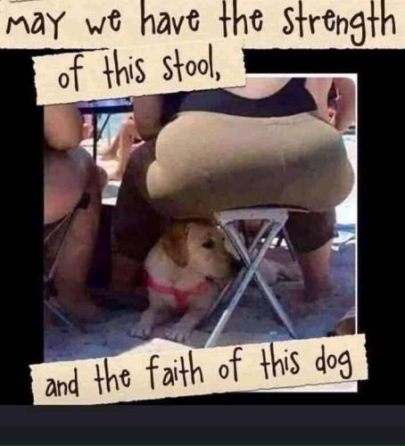 121C37A6-F285-4B9E-B270-AAF89D95DDF7