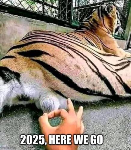 2025