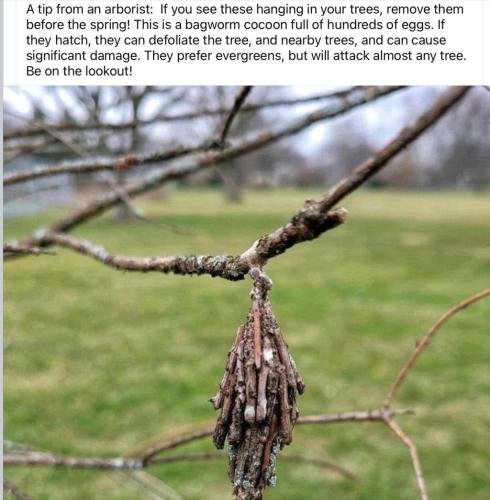 14D1B59C-CB37-4FC6-A5AF-EF5A38C47F88