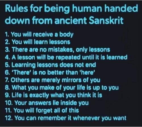 IMG_20250109_063803_309