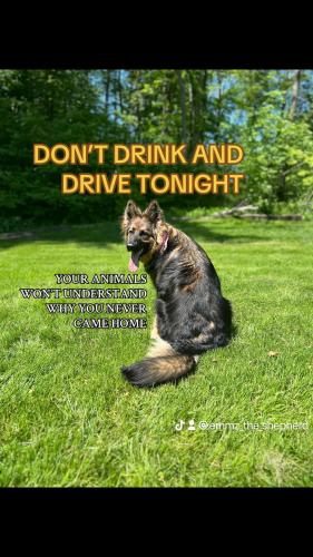 FB_IMG_1735690380418