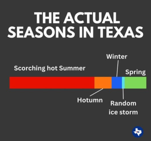 Screenshot 2024-12-19 181619