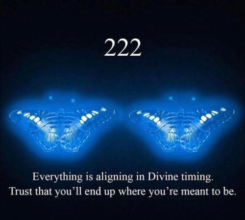 473756793_122185771586105904_9186562372328409691_n