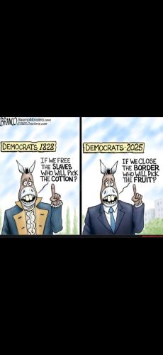 Screenshot_20250127_195846_Gallery