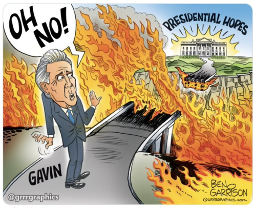 image_2025-01-12_114441466