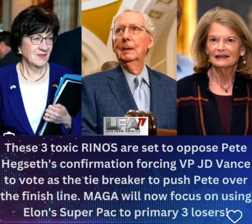 image_2025-01-24_065035156