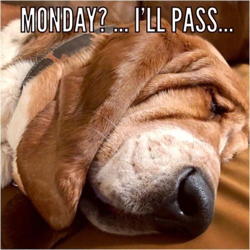 c01ac16c8943c8a8ad0b837c3f59a142