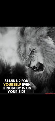 Screenshot_20250107_191834_Gallery