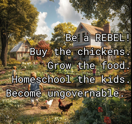 Screenshot 2025-01-21 094619